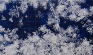 Snowflake Slide
