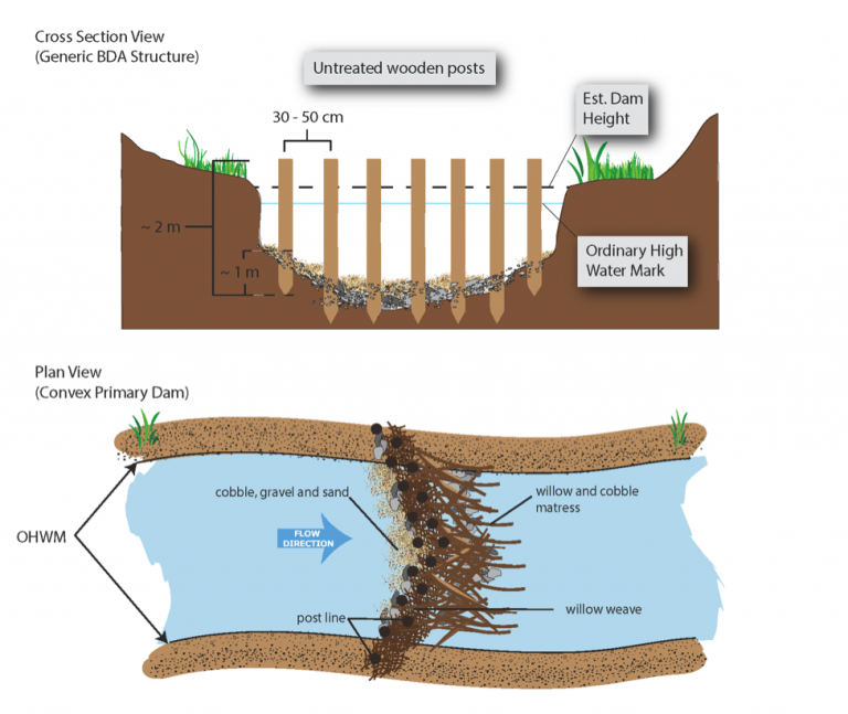 Beaver Restoration and Water Management in Wyoming – Austin Rempel