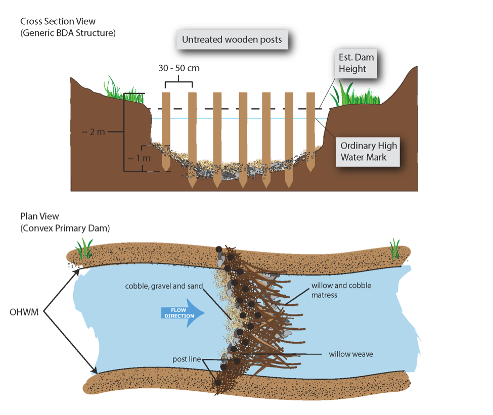 Cross section schematic of a Beaver Dam Analog (BDA). 